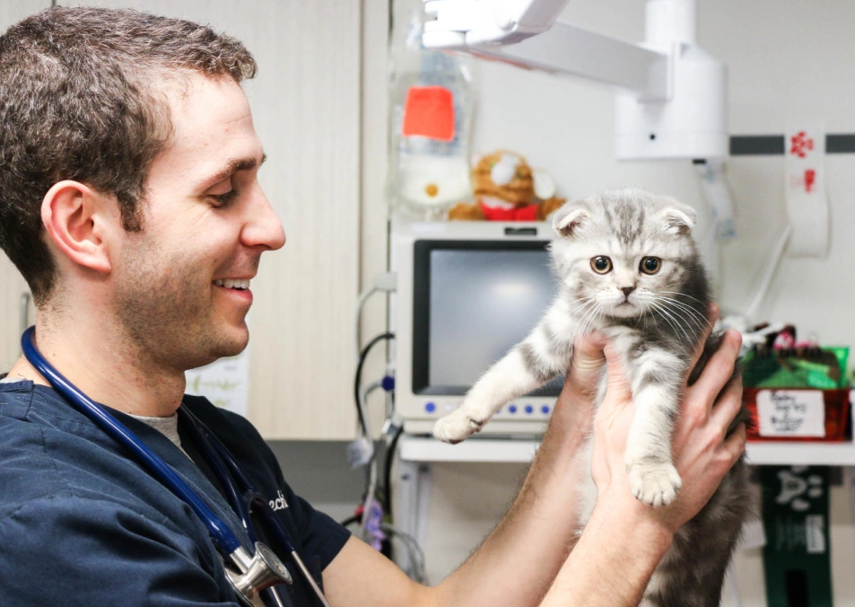 Tiny paws, healthy start, Hell's Kitchen, New York City care