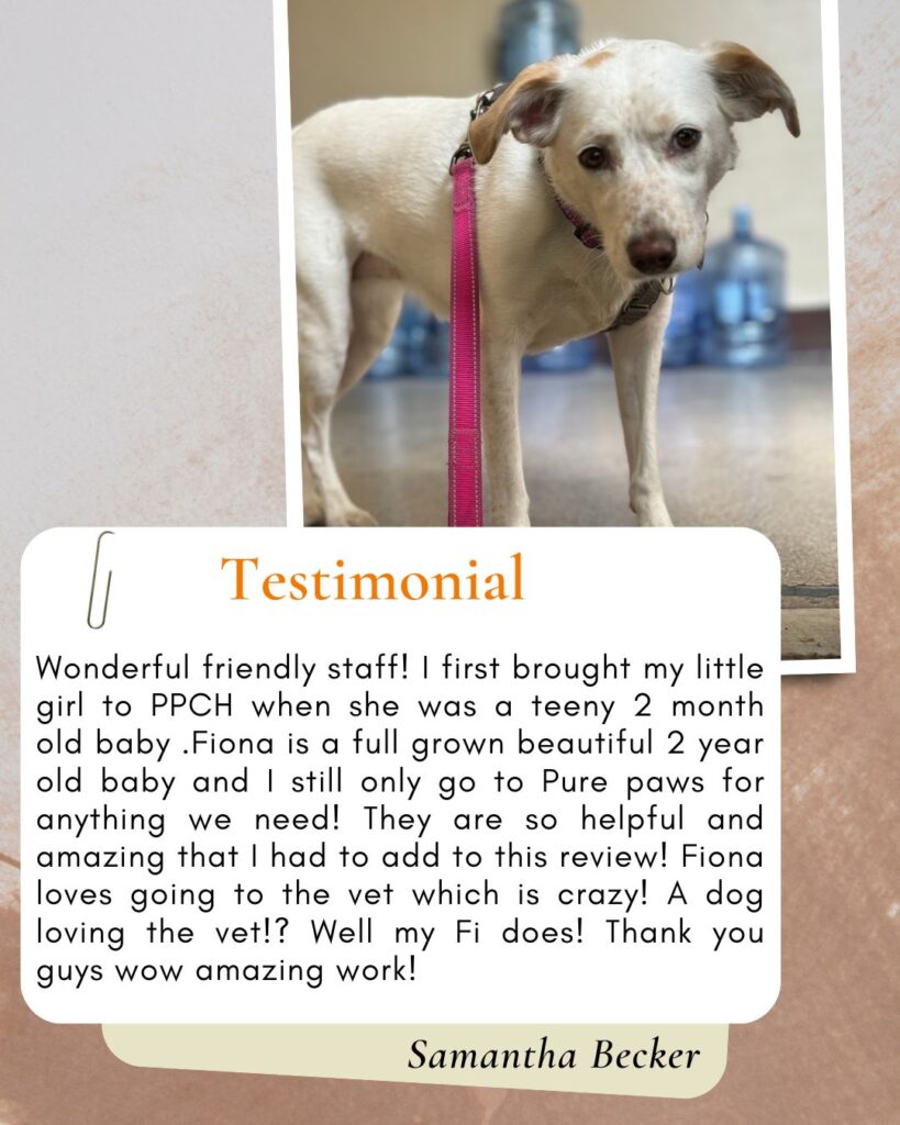 Samantha Becker Suggests Trustworthy Vet in Clinton Hill, Brooklyn