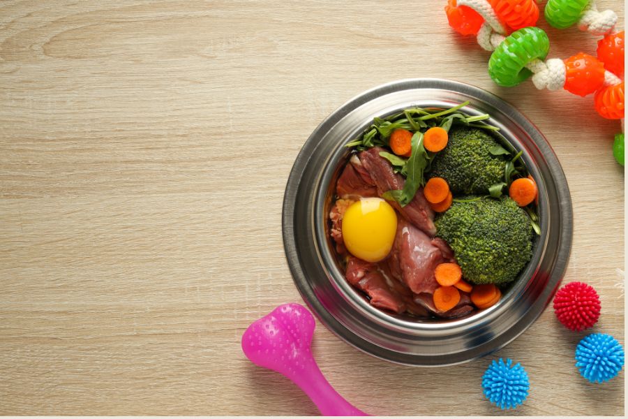 can-dogs-eat-raw-chicken
