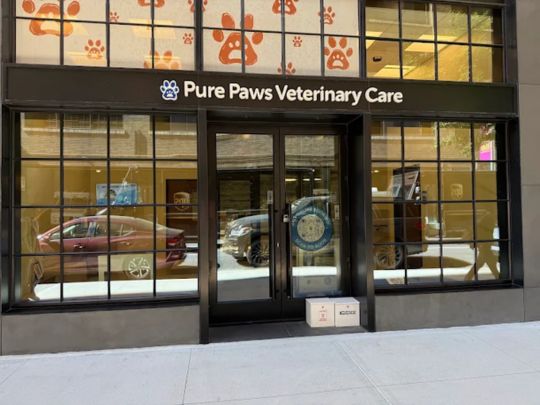 independent-woman-owned-nyc-vet-pure-paws-veterinary-care-nyc