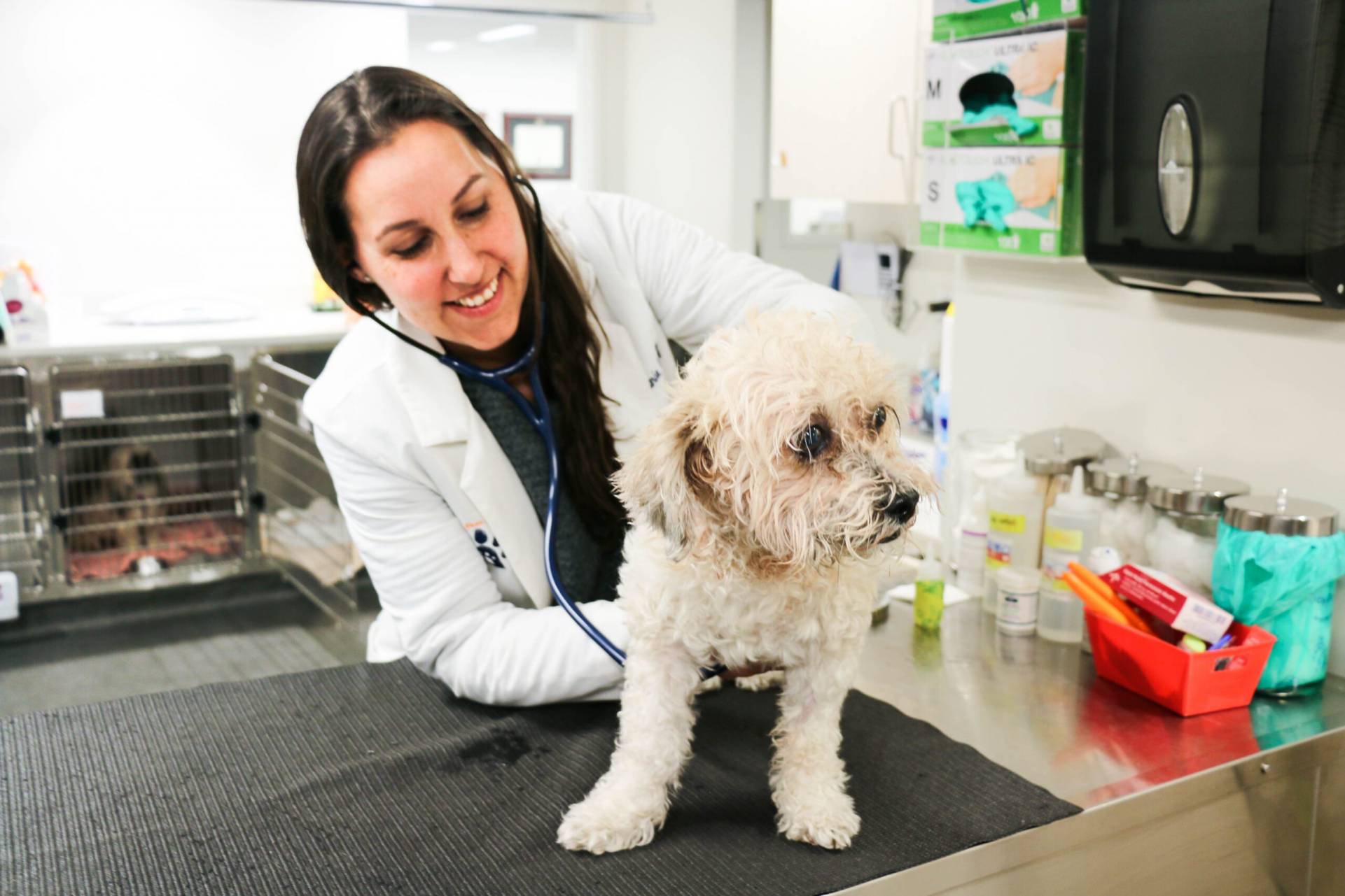 Pure Paws Veterinary Care